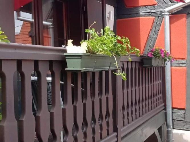 Stunning Apartment In Heart Of Dambach La Ville Exterior foto